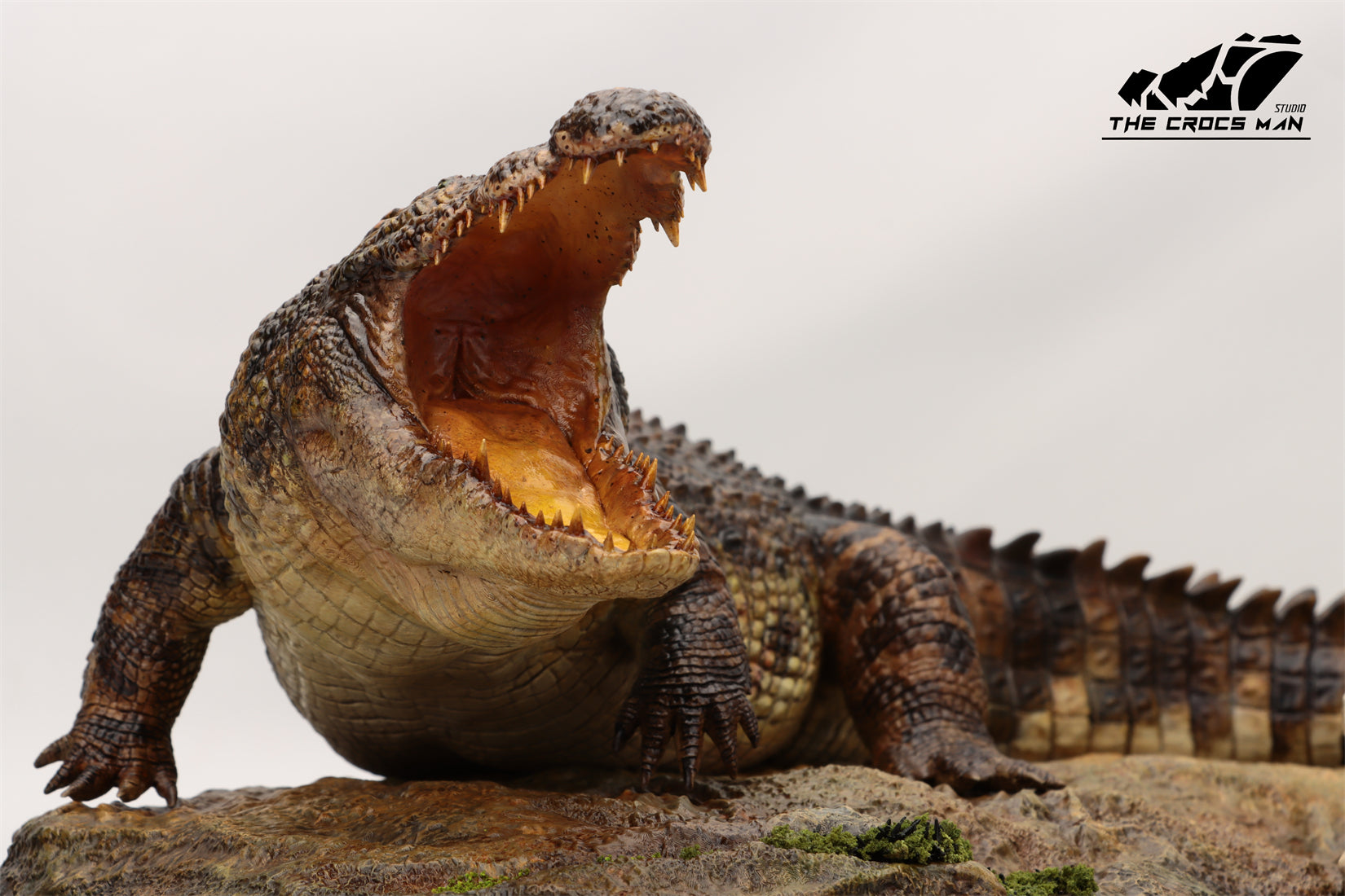 The Crocs Man Studio Nile Crocodile Gustave Model
