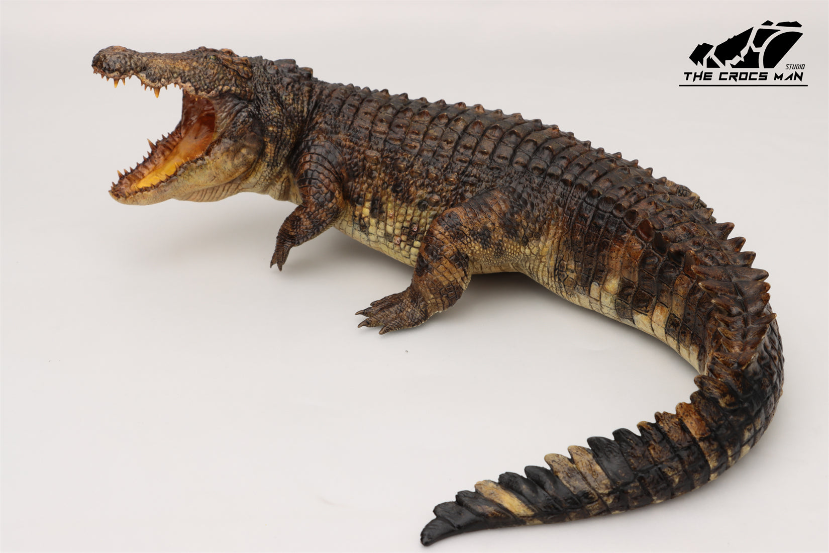 The Crocs Man Studio Nile Crocodile Gustave Model