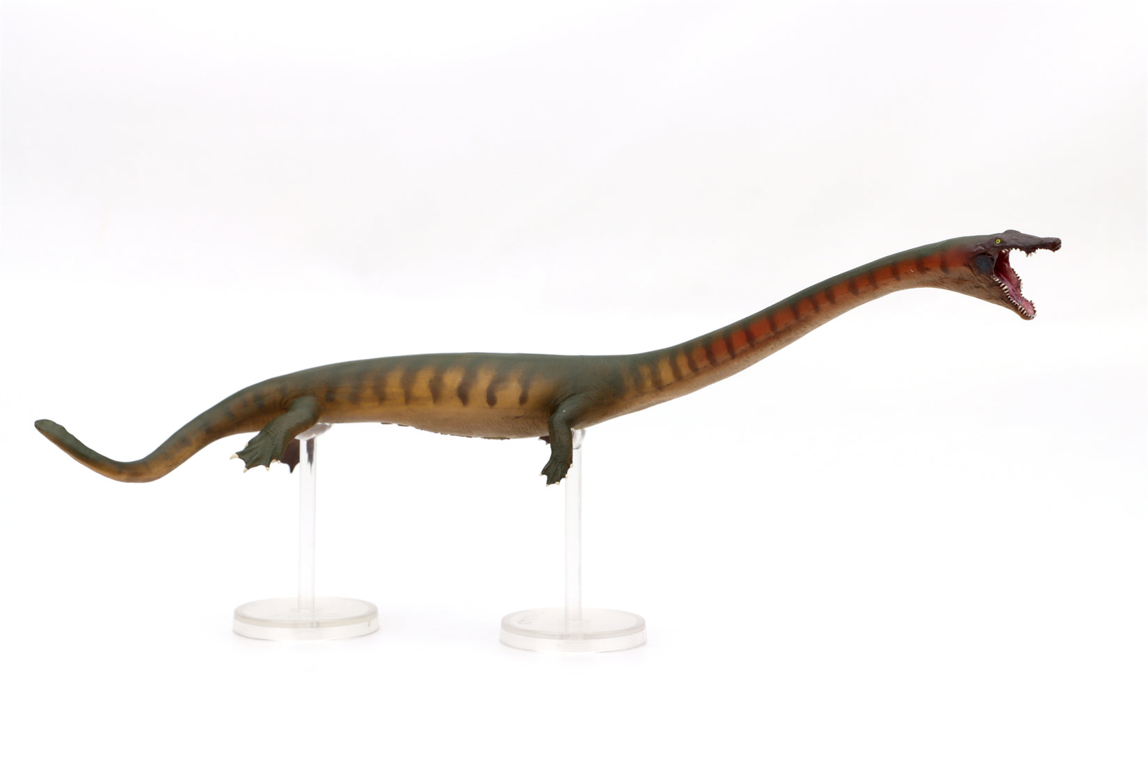PNSO 91 Xiaochong Dinocephalosaurus Model