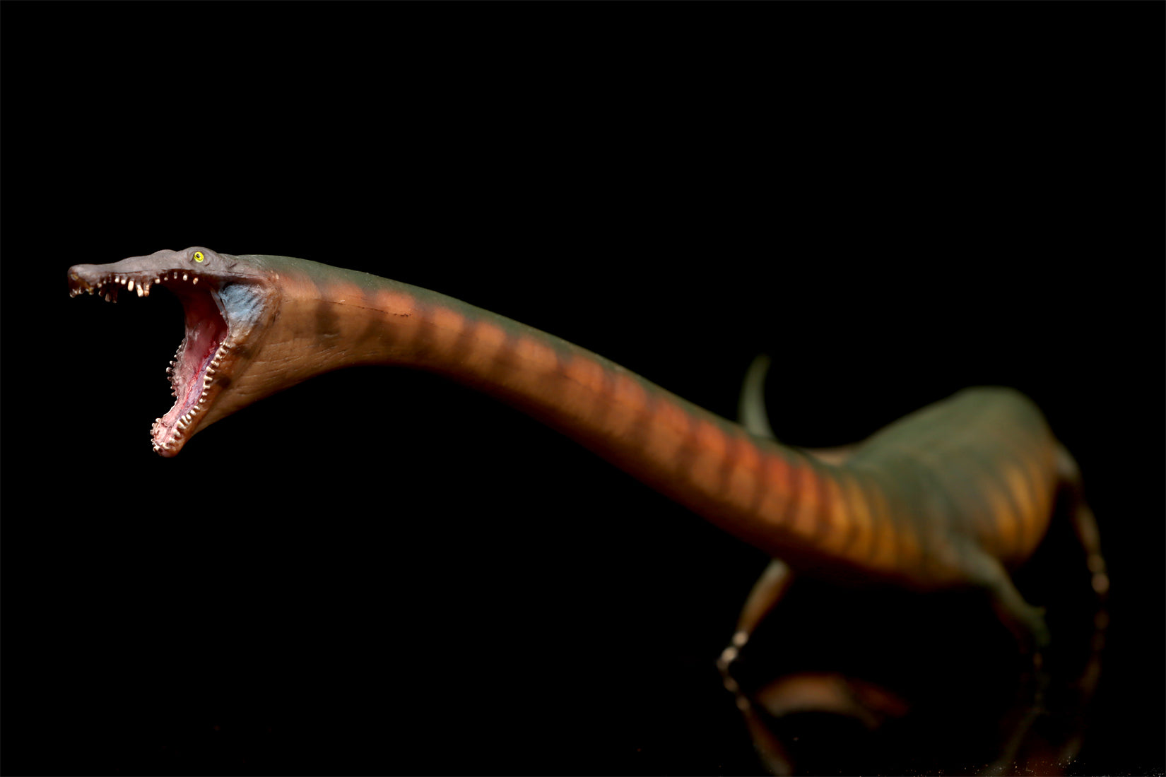 PNSO 91 Xiaochong Dinocephalosaurus Model