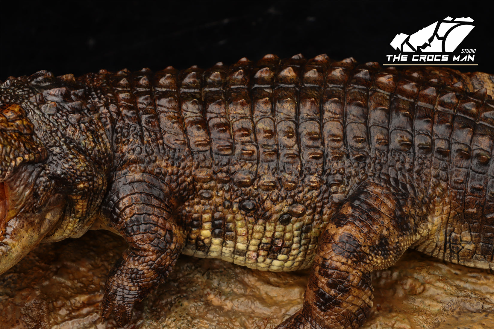 The Crocs Man Studio Nile Crocodile Gustave Model