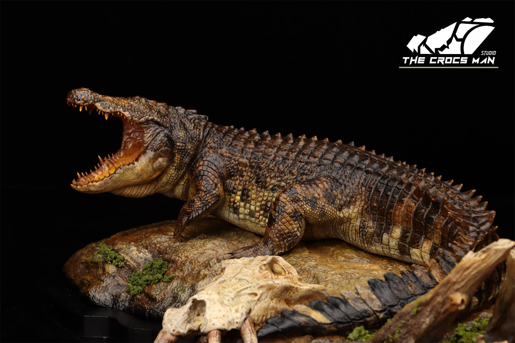 The Crocs Man Studio Nile Crocodile Gustave Model