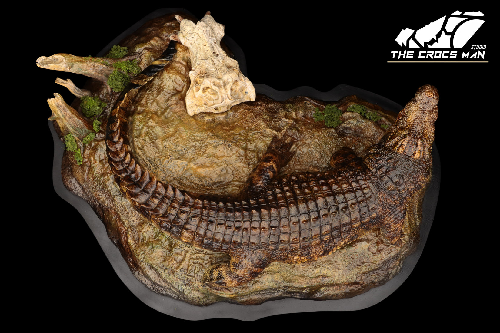 The Crocs Man Studio Nile Crocodile Gustave Model