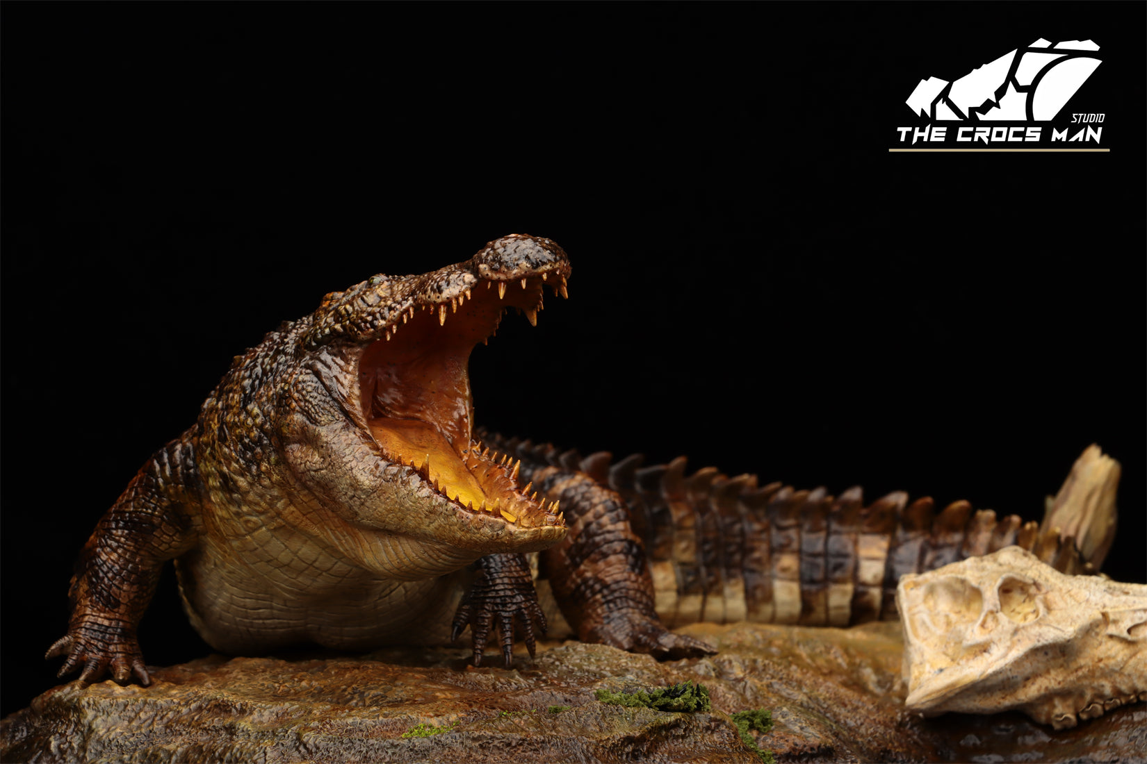 The Crocs Man Studio Nile Crocodile Gustave Model