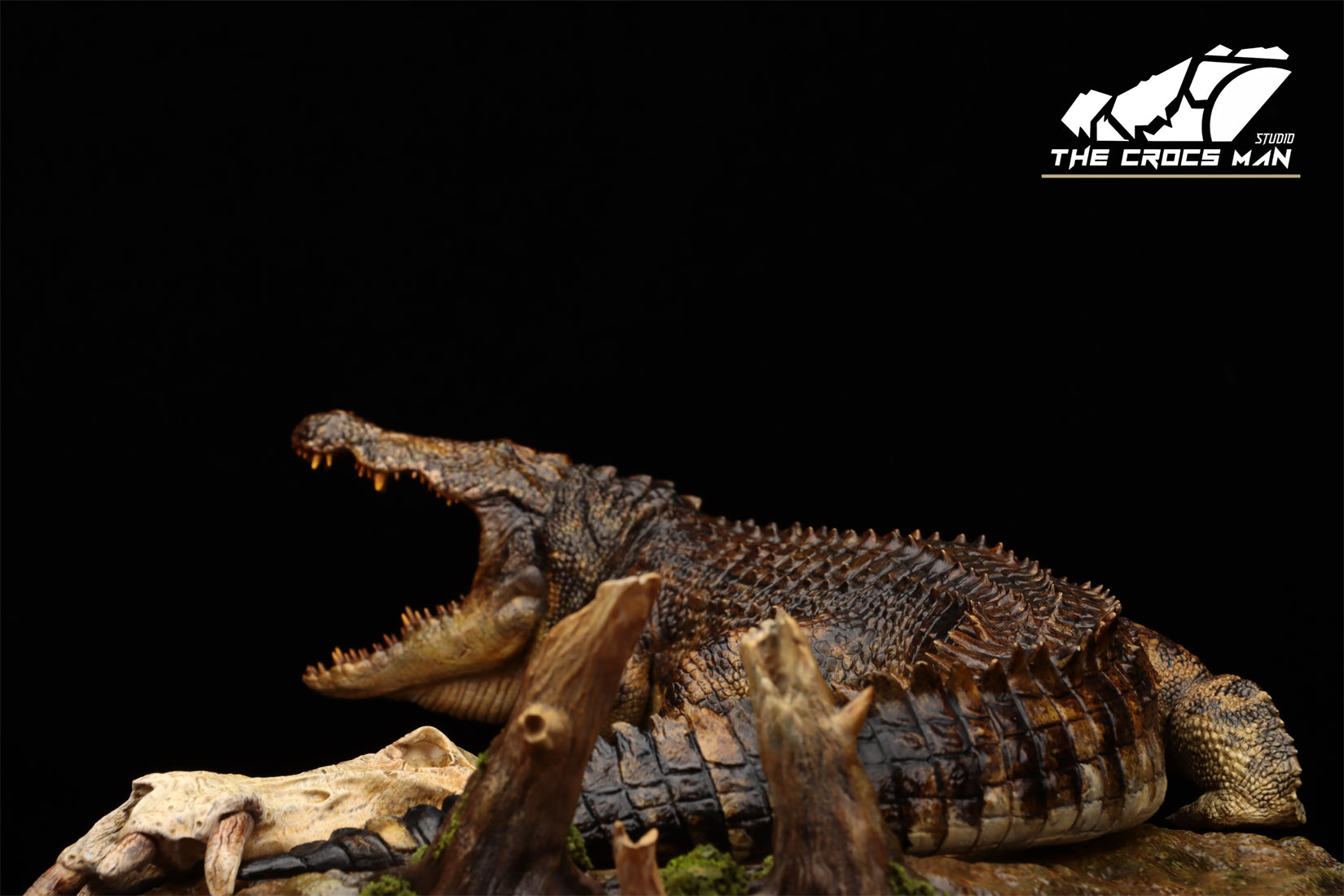 The Crocs Man Studio Nile Crocodile Gustave Model
