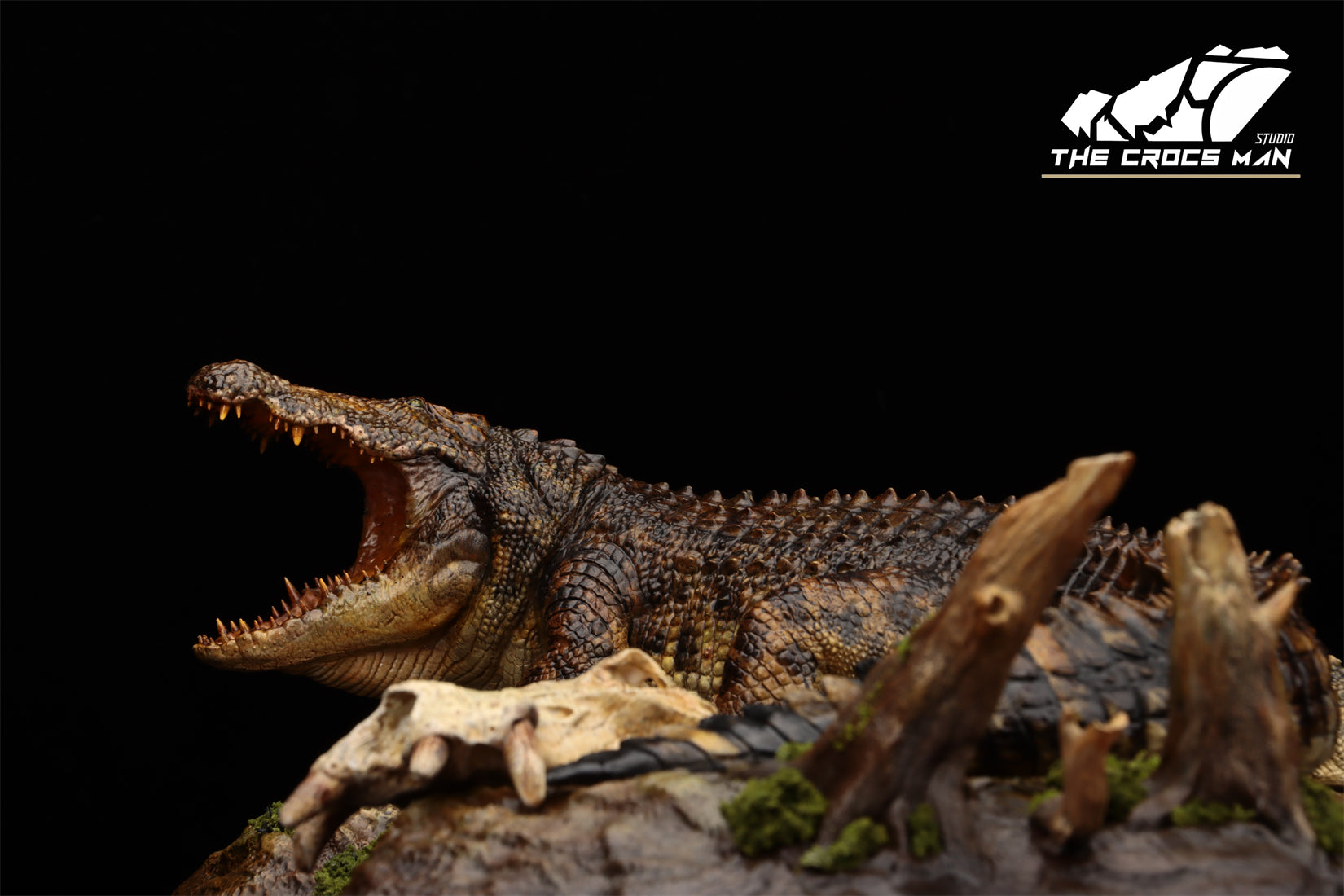 The Crocs Man Studio Nile Crocodile Gustave Model