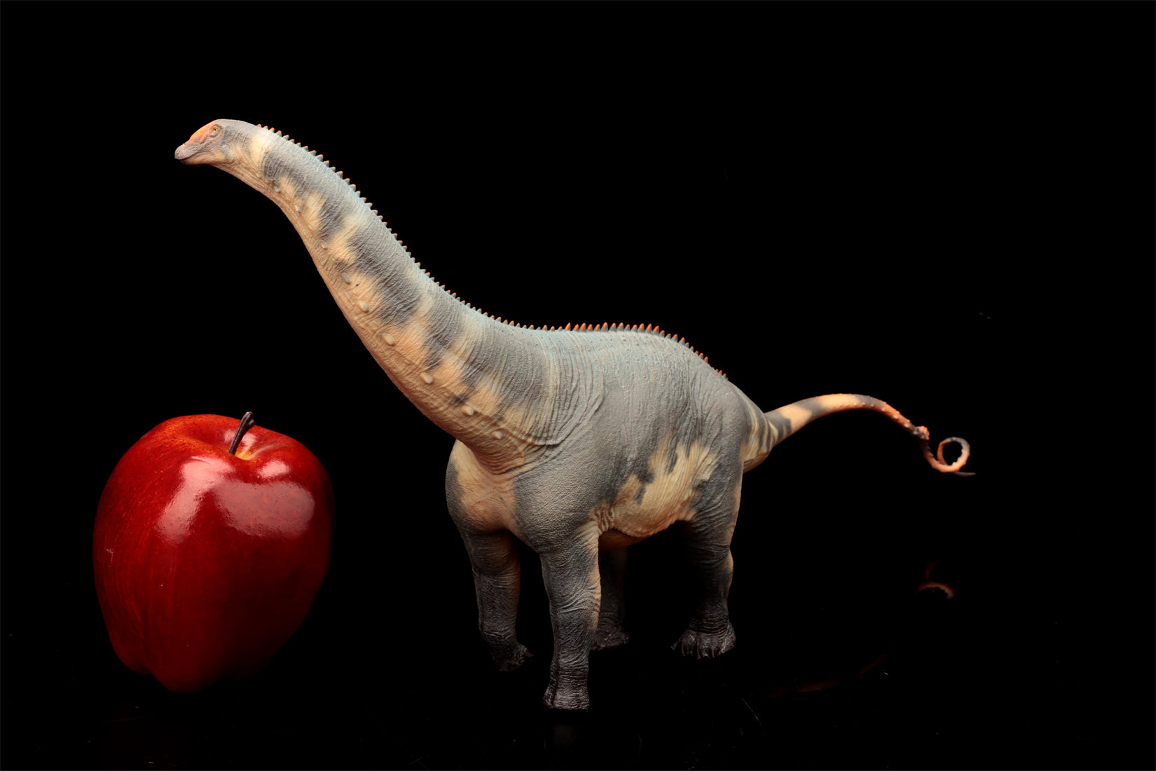 HAOLONGGOOD 1:35 Scale Brontosaurus Model