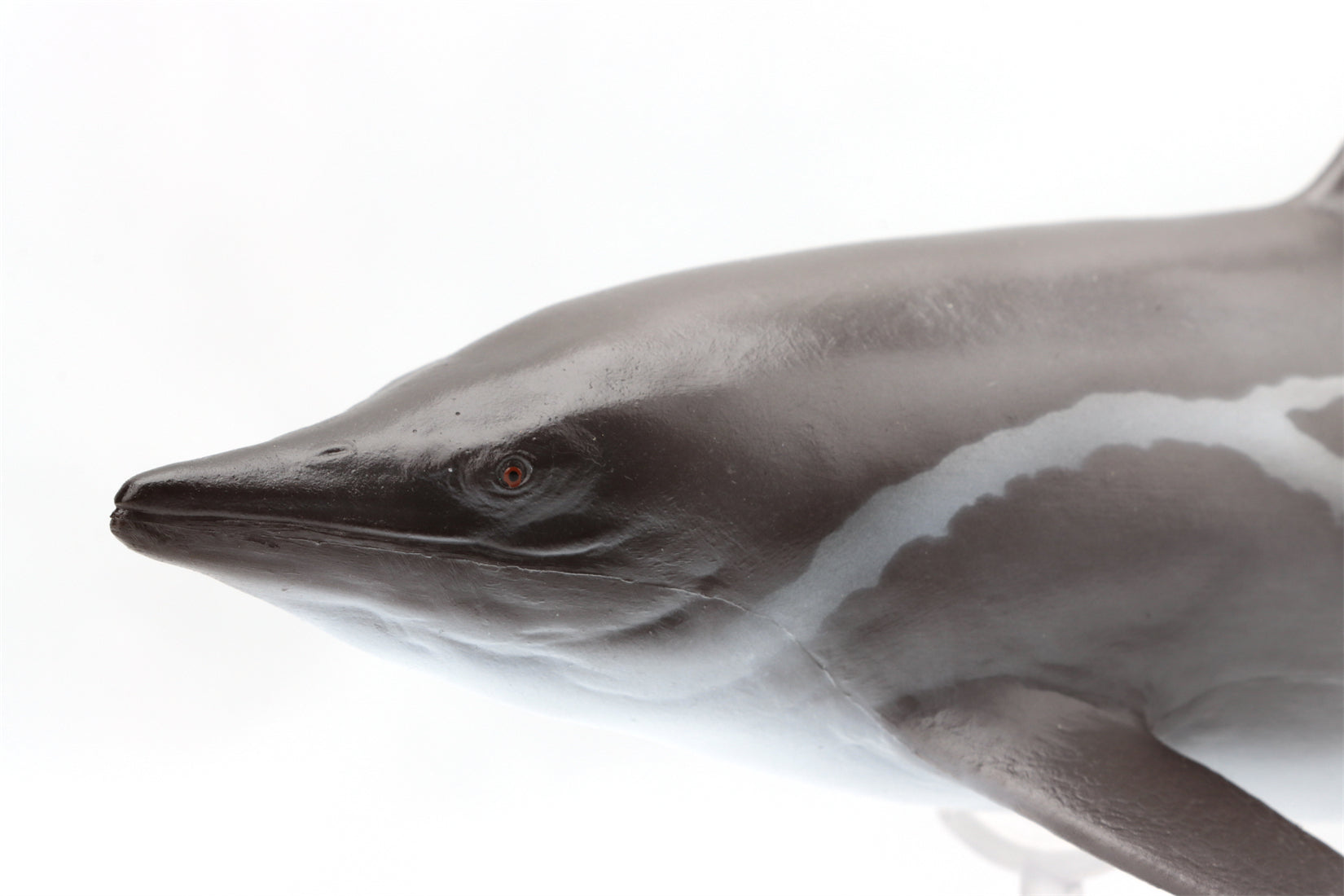 PNSO 92 Yuanlin Guanlingsaurus Model