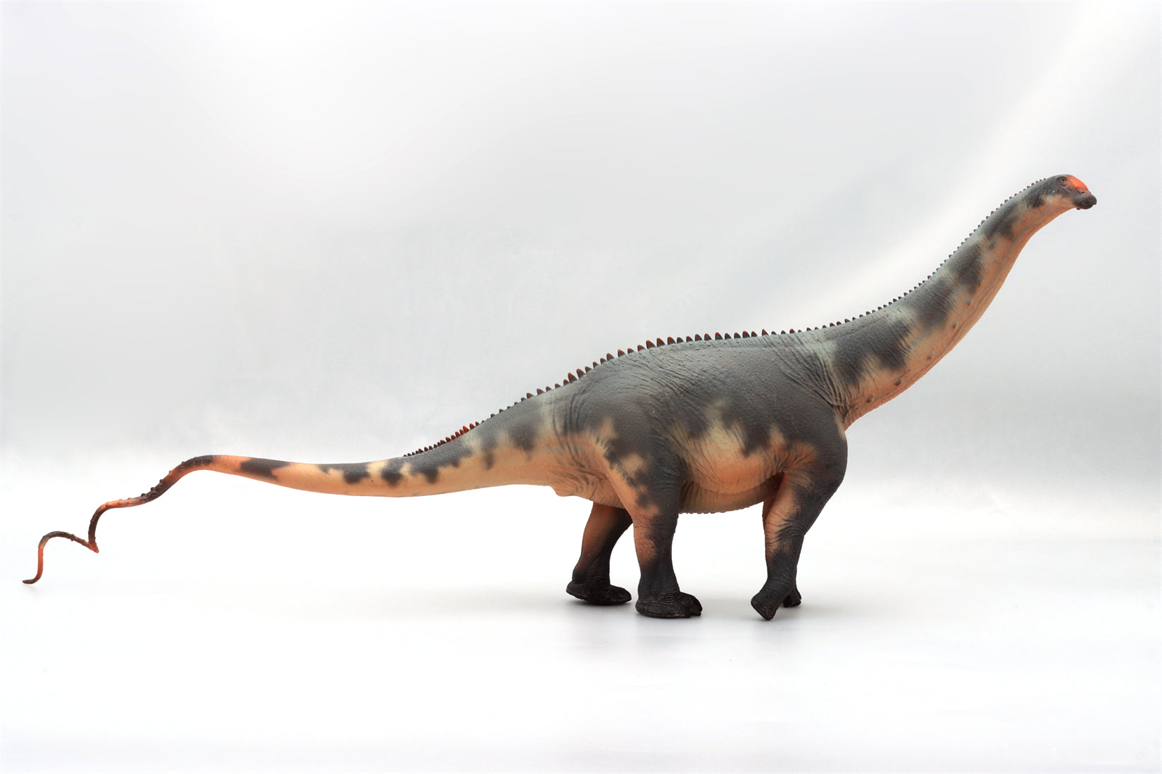 HAOLONGGOOD 1:35 Scale Brontosaurus Model