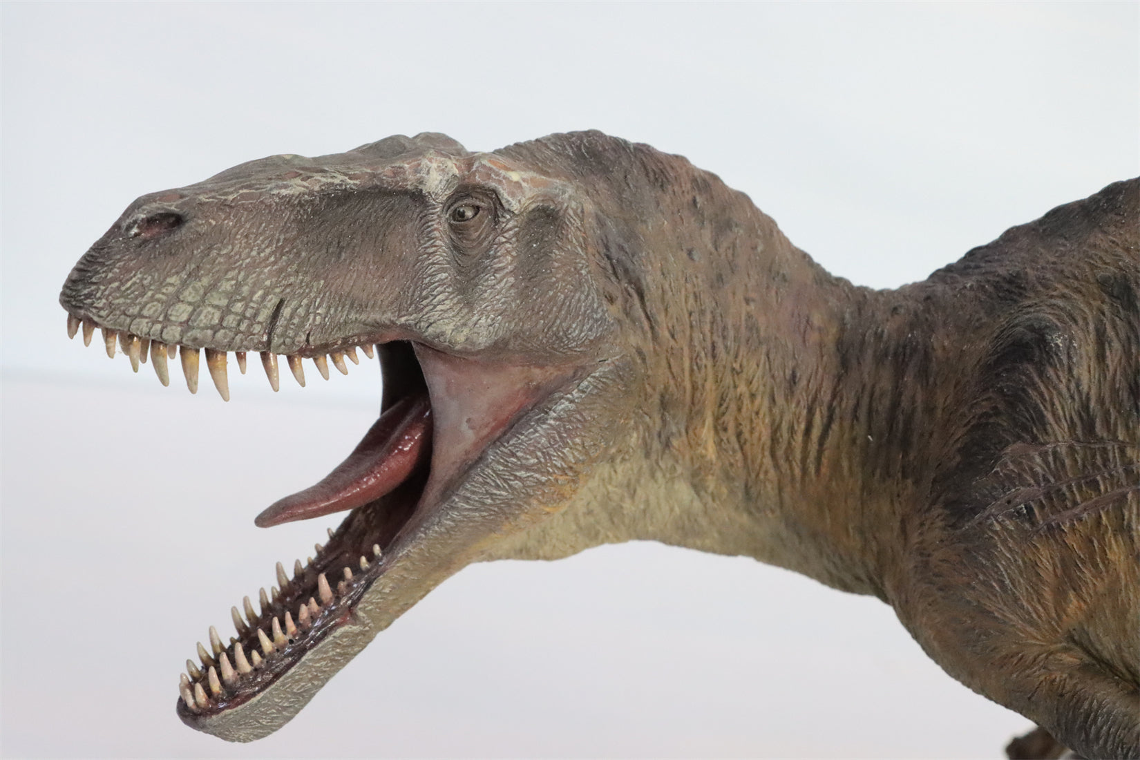 1:18 Scale Torvosaurus Scene Model