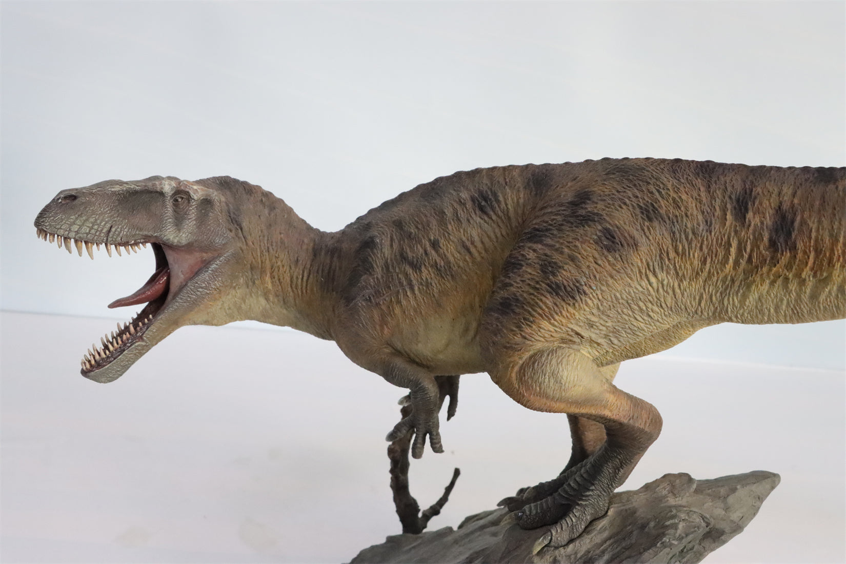 1:18 Scale Torvosaurus Scene Model