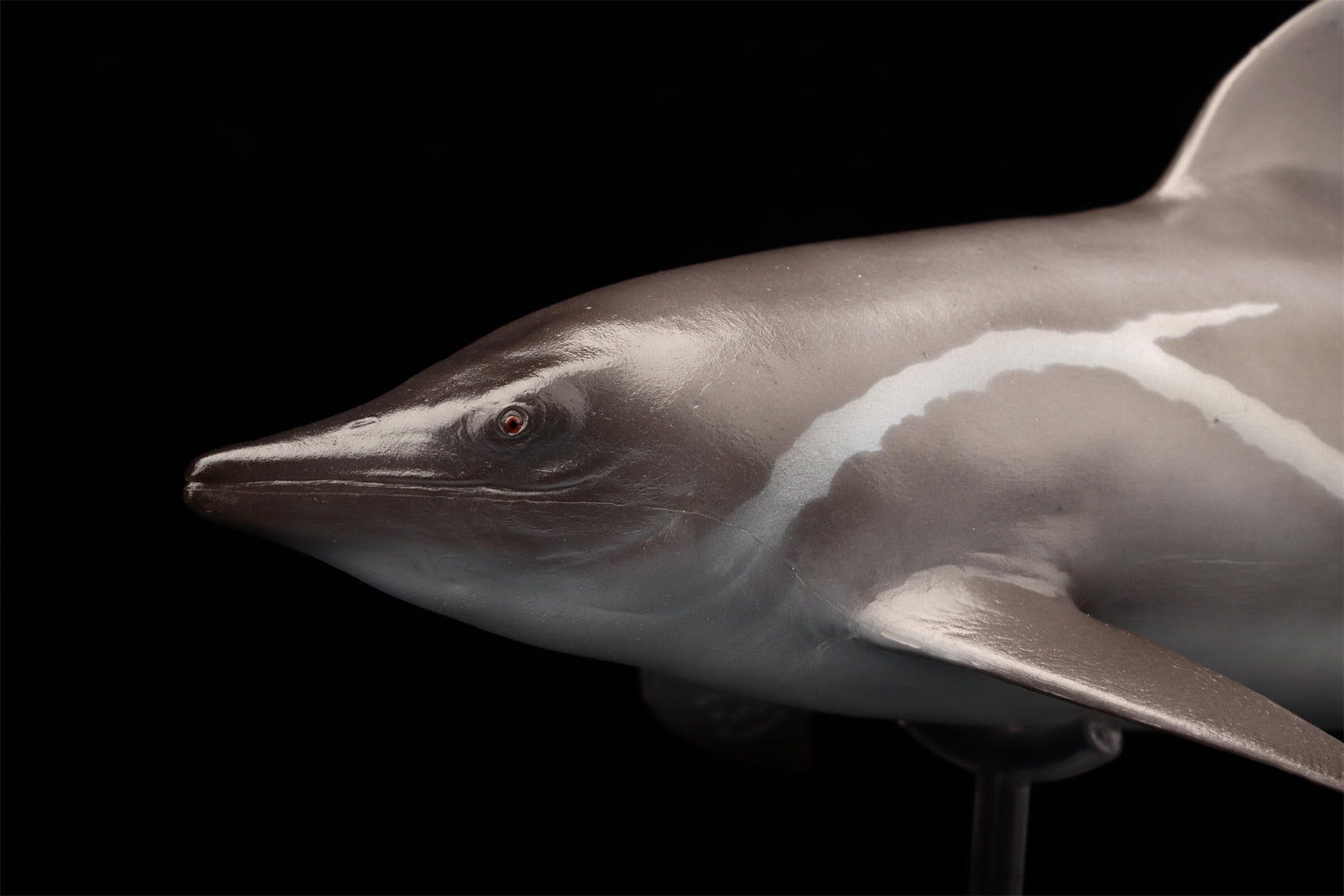 PNSO 92 Yuanlin Guanlingsaurus Model