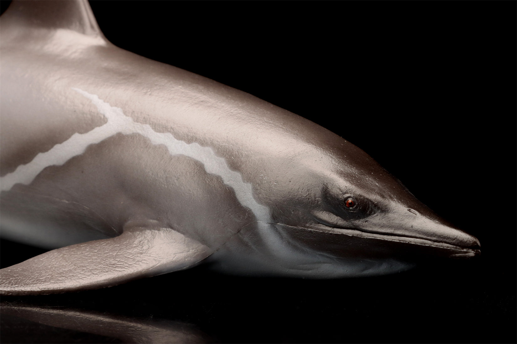 PNSO 92 Yuanlin Guanlingsaurus Model