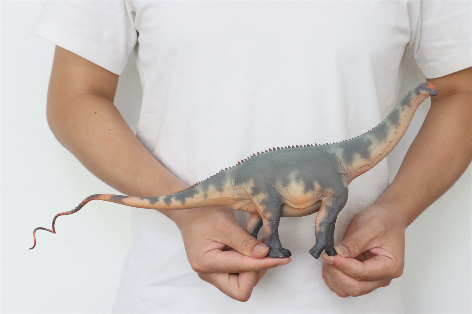 HAOLONGGOOD 1:35 Scale Brontosaurus Model