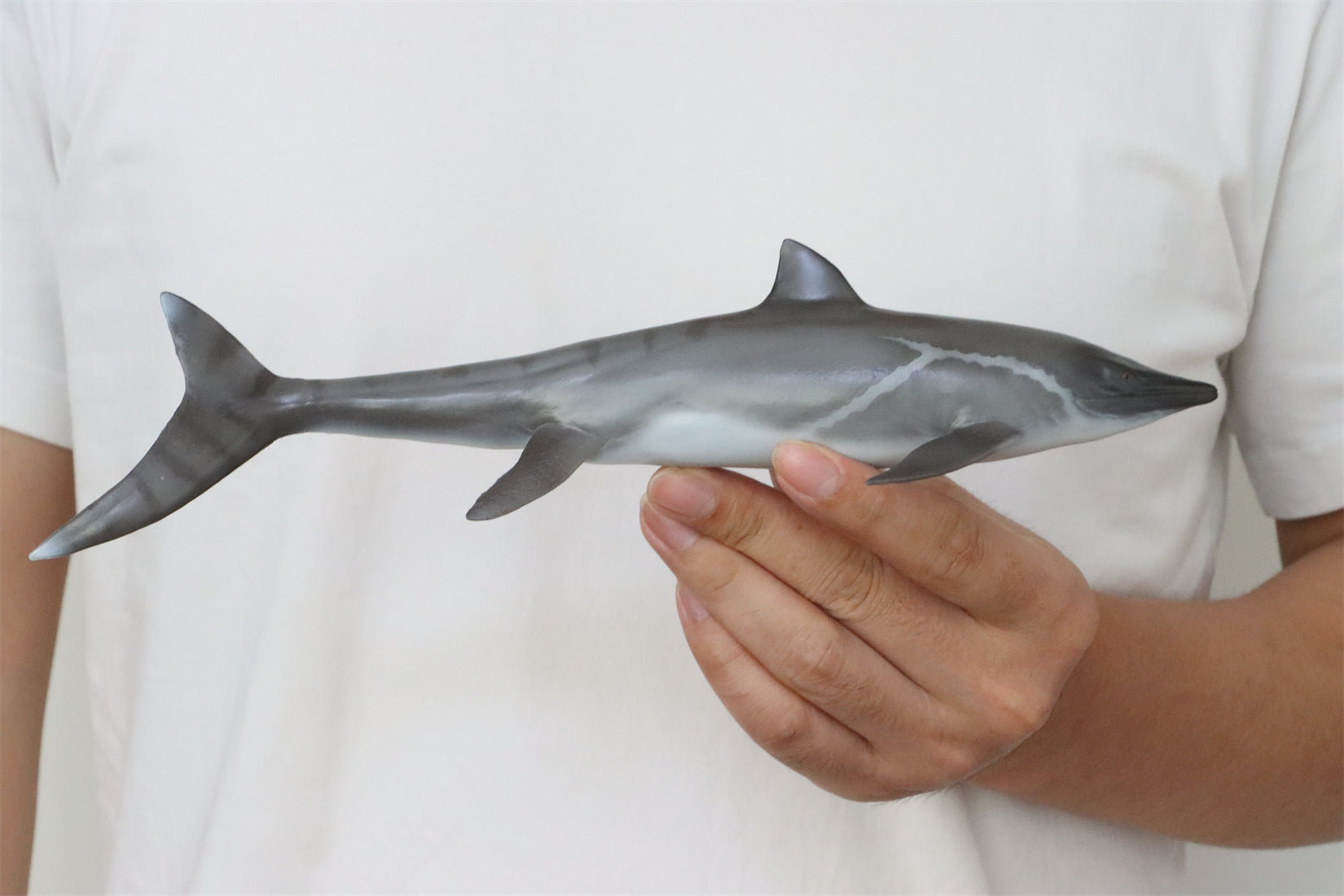 PNSO 92 Yuanlin Guanlingsaurus Model