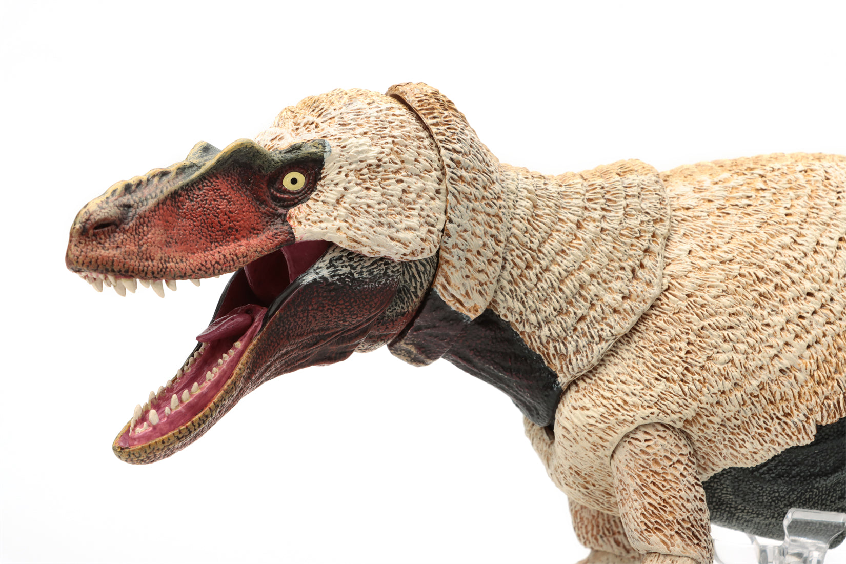 Beasts of the Mesozoic Dryptosaurus aquilunguis- 1/18th scale