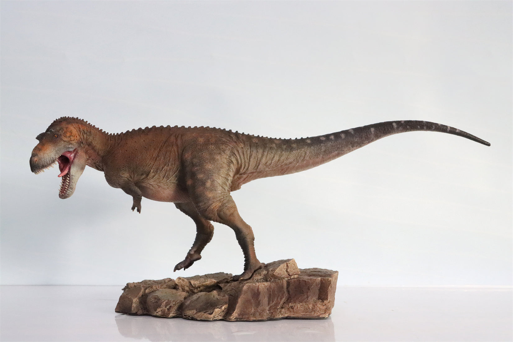 HAOLONGGOOD 1:20 Scale Daspletosaurus Model