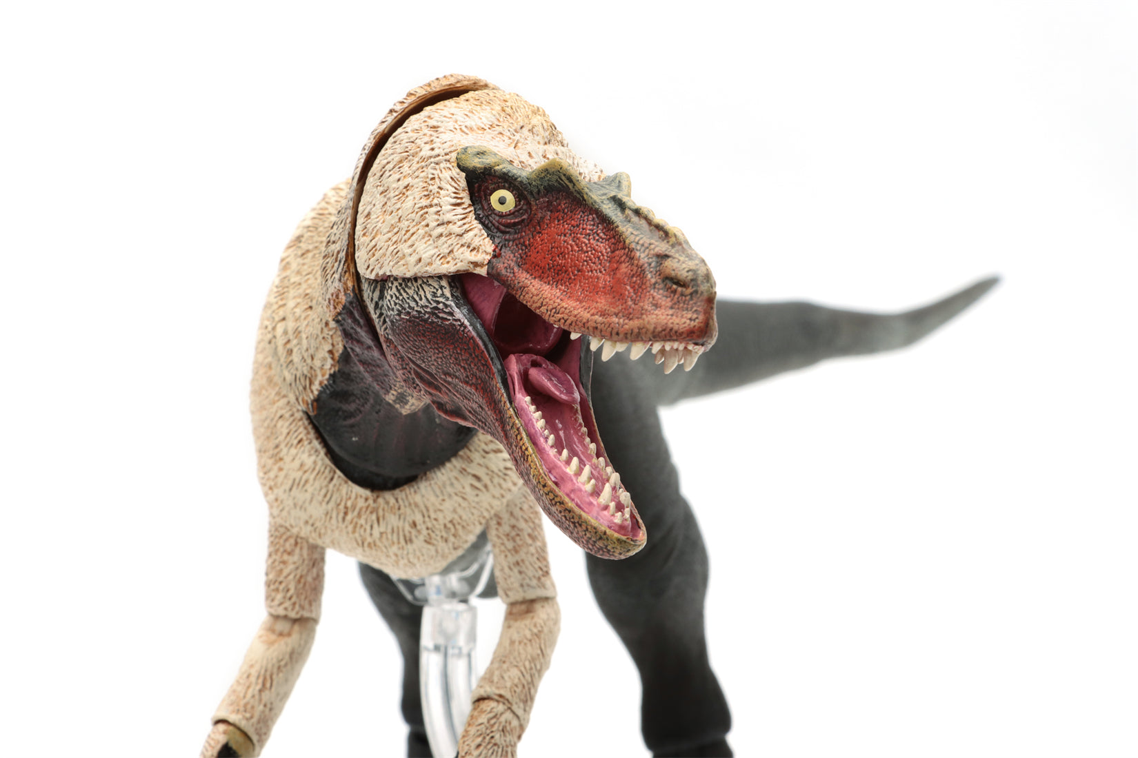 Beasts of the Mesozoic Dryptosaurus aquilunguis- 1/18th scale