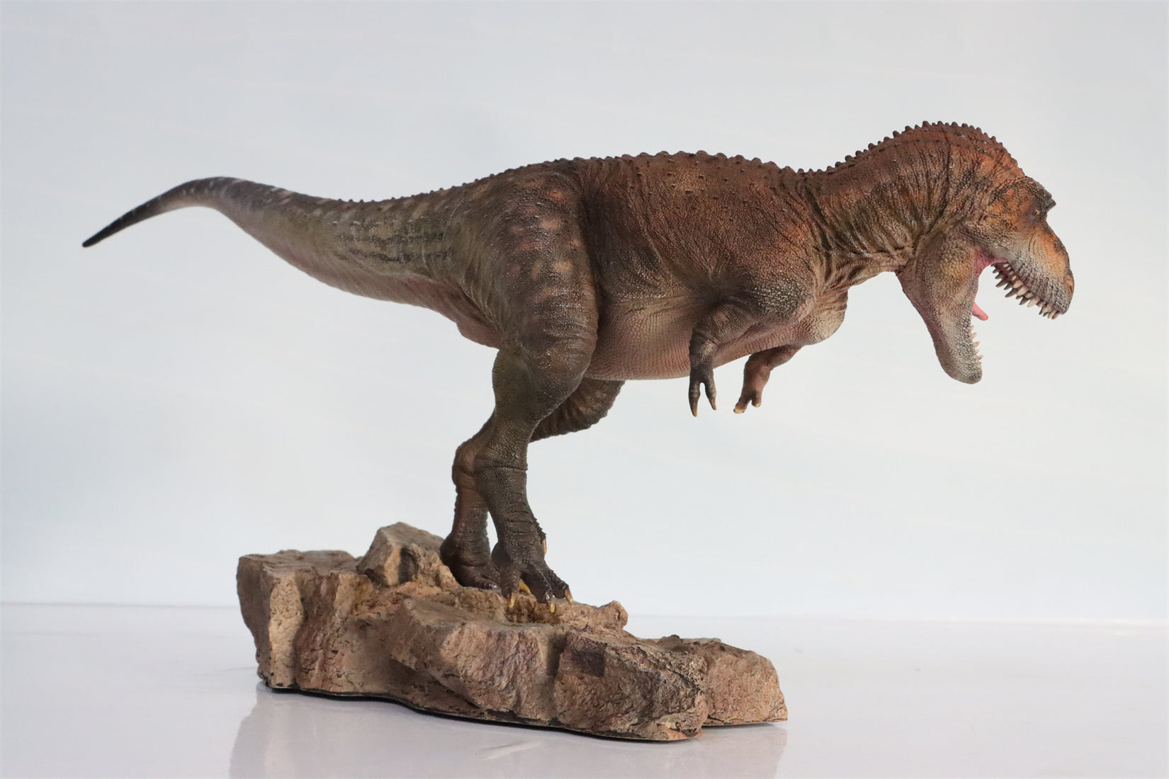 HAOLONGGOOD 1:20 Scale Daspletosaurus Model