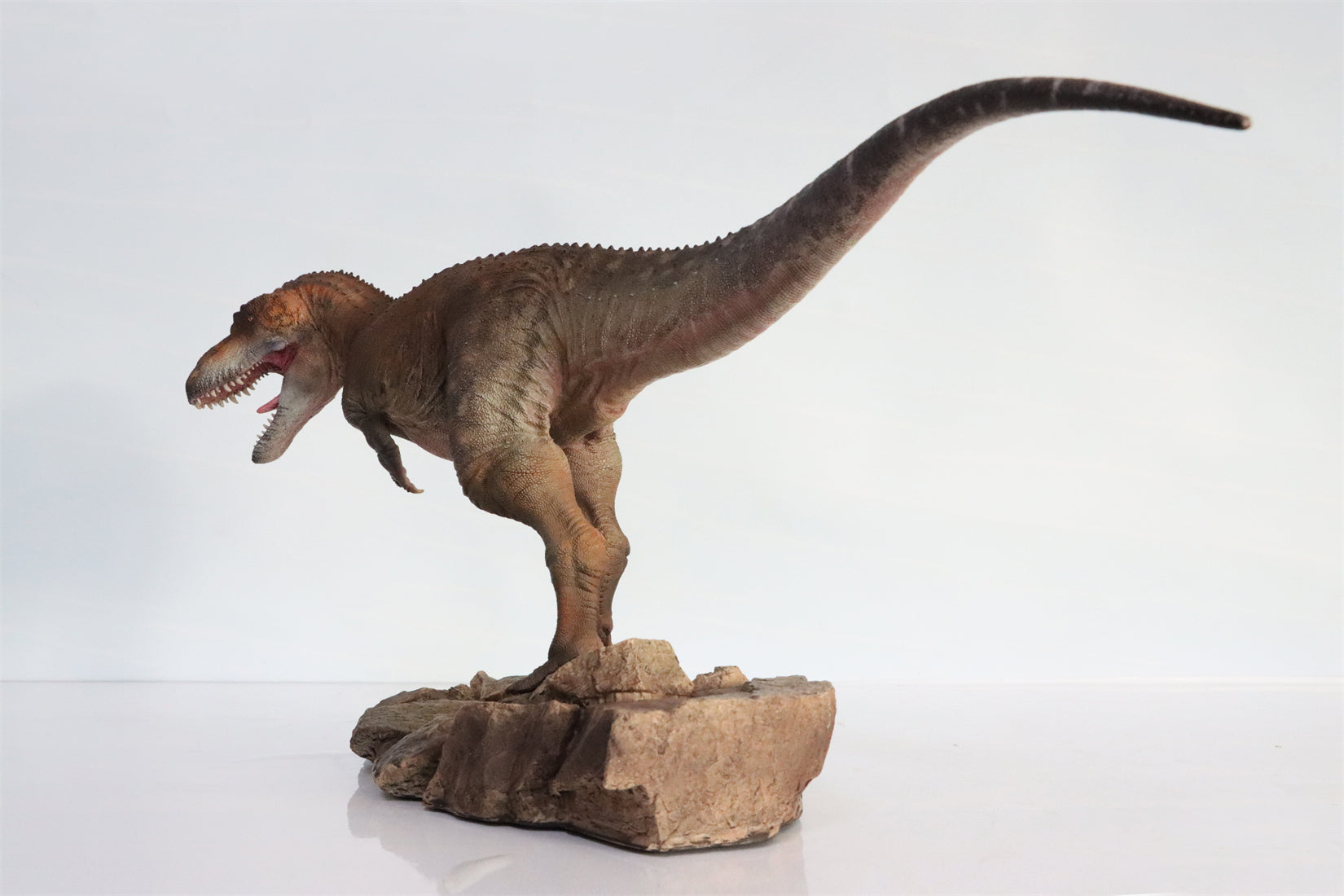 HAOLONGGOOD 1:20 Scale Daspletosaurus Model