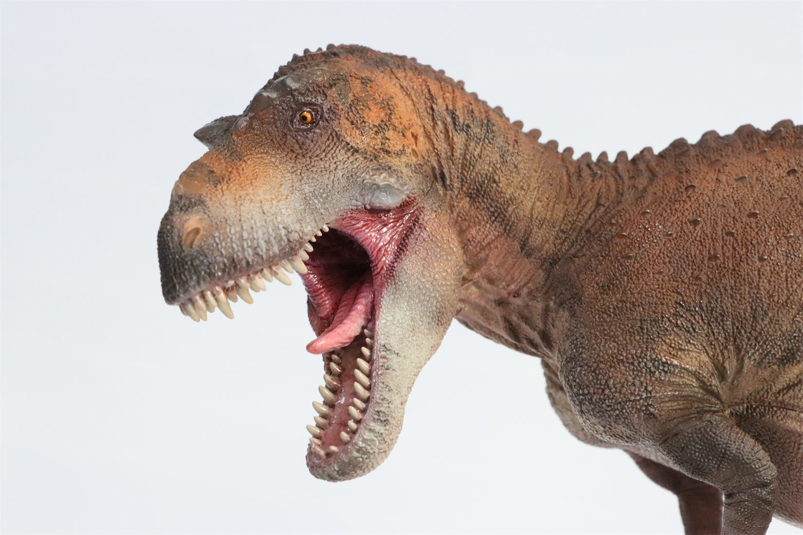 HAOLONGGOOD 1:20 Scale Daspletosaurus Model