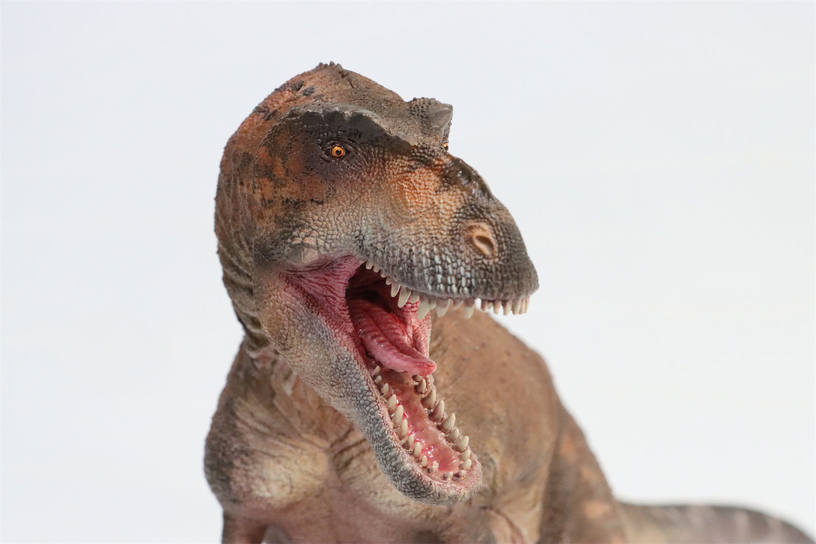 HAOLONGGOOD 1:20 Scale Daspletosaurus Model