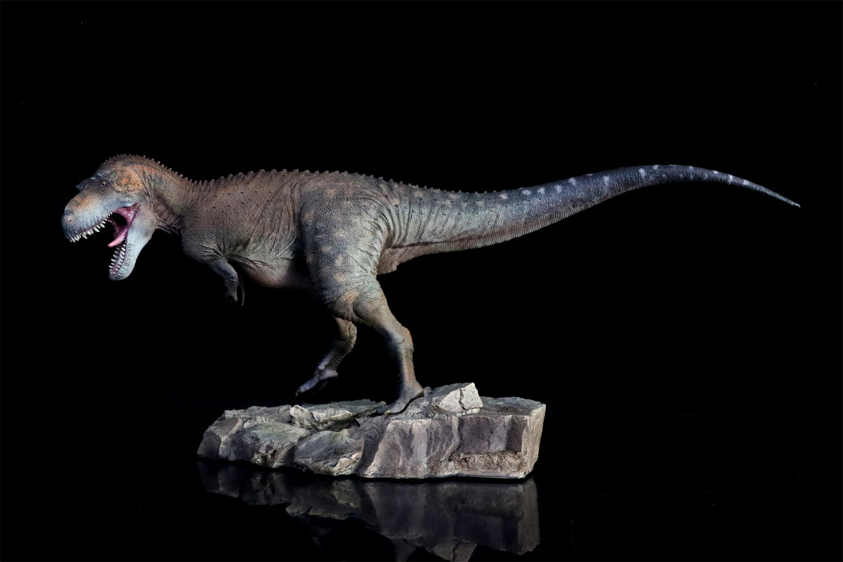HAOLONGGOOD 1:20 Scale Daspletosaurus Model