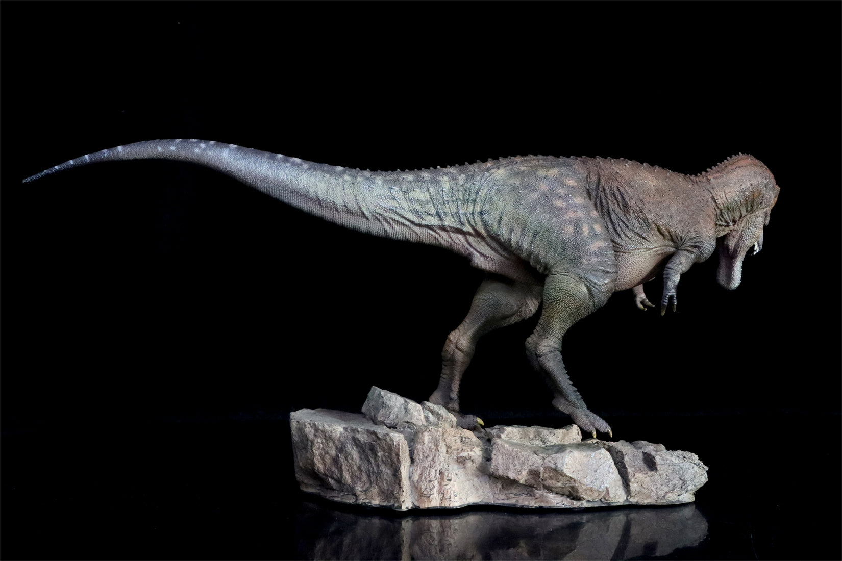 HAOLONGGOOD 1:20 Scale Daspletosaurus Model