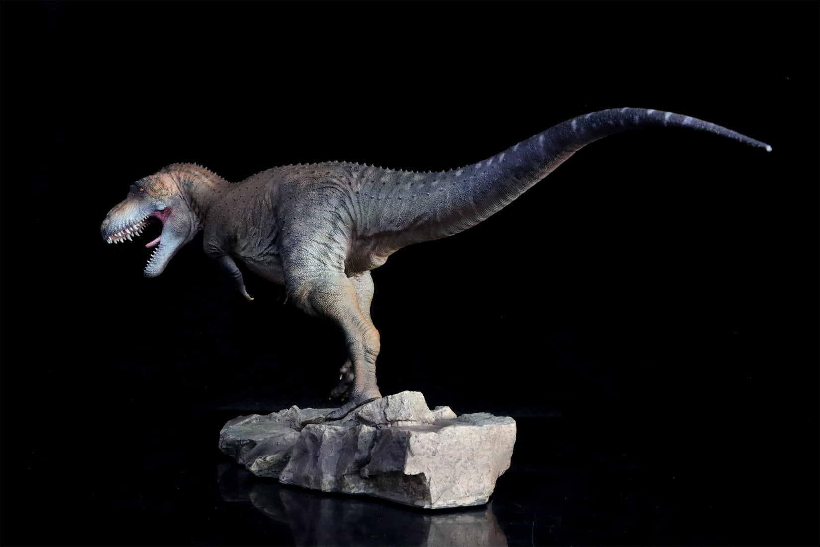 HAOLONGGOOD 1:20 Scale Daspletosaurus Model