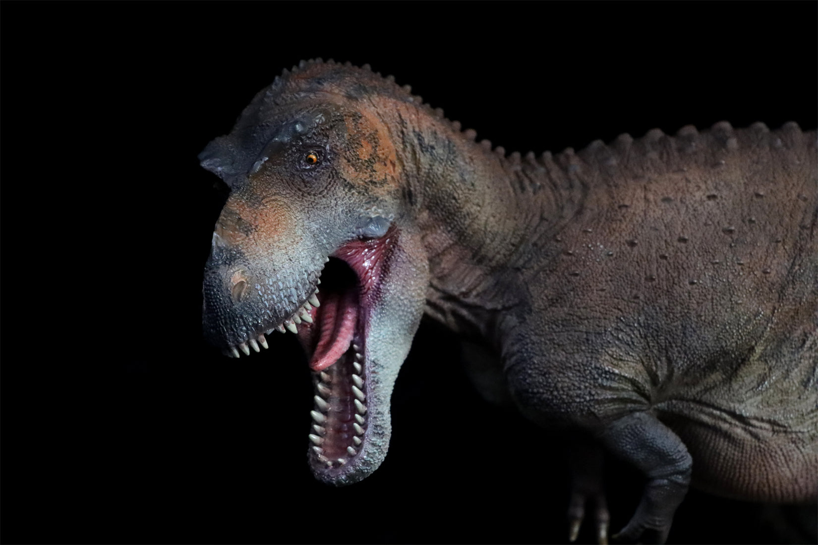 HAOLONGGOOD 1:20 Scale Daspletosaurus Model