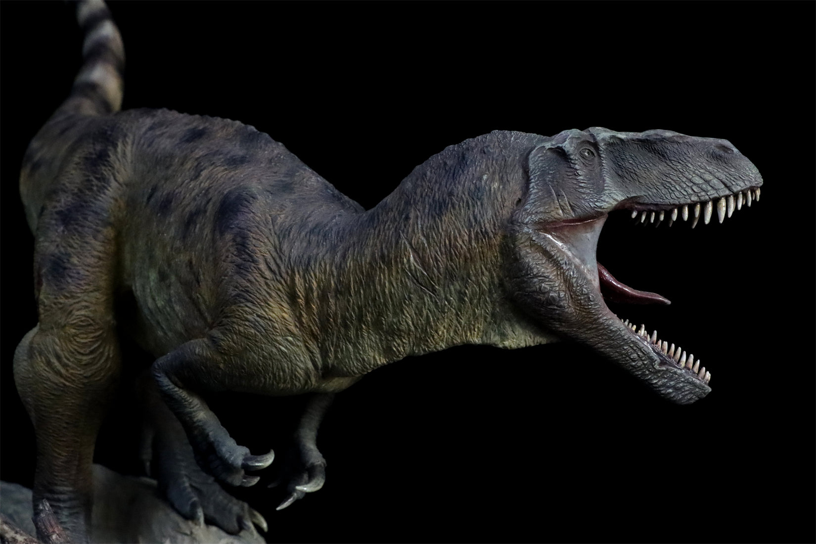 1:18 Scale Torvosaurus Scene Model