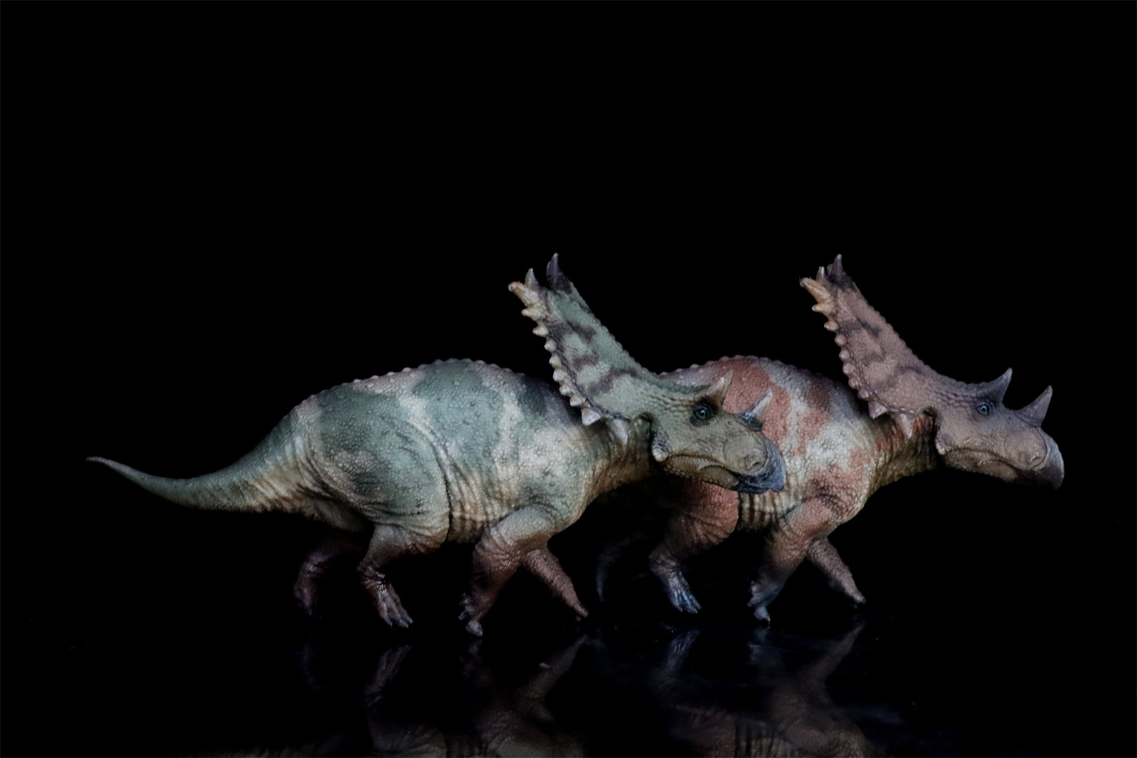 HAOLONGGOOD 1:35 Scale Chasmosaurus Model