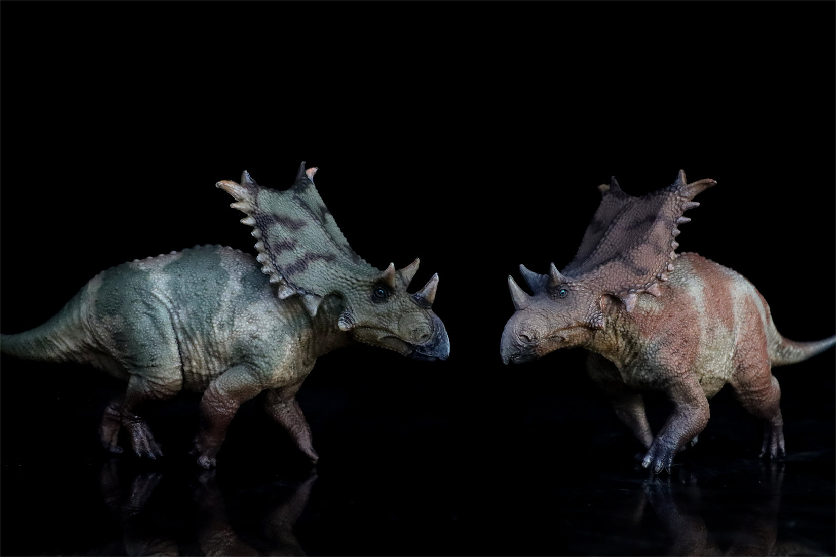 HAOLONGGOOD 1:35 Scale Chasmosaurus Model