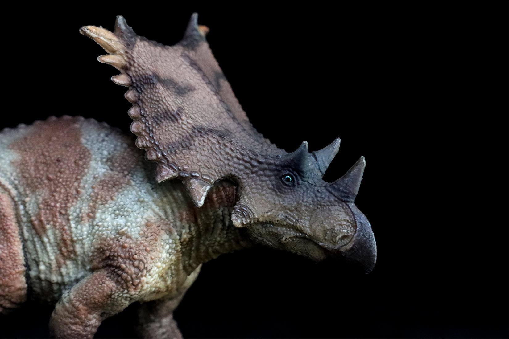 HAOLONGGOOD 1:35 Scale Chasmosaurus Model