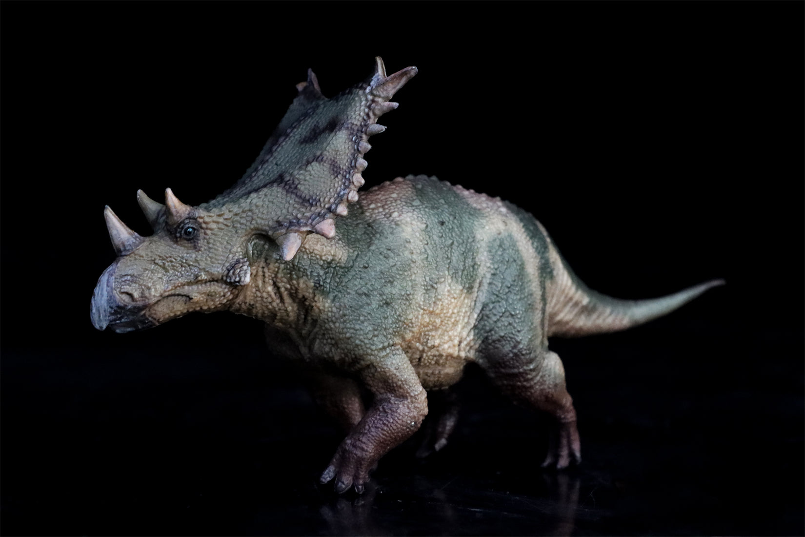 HAOLONGGOOD 1:35 Scale Chasmosaurus Model