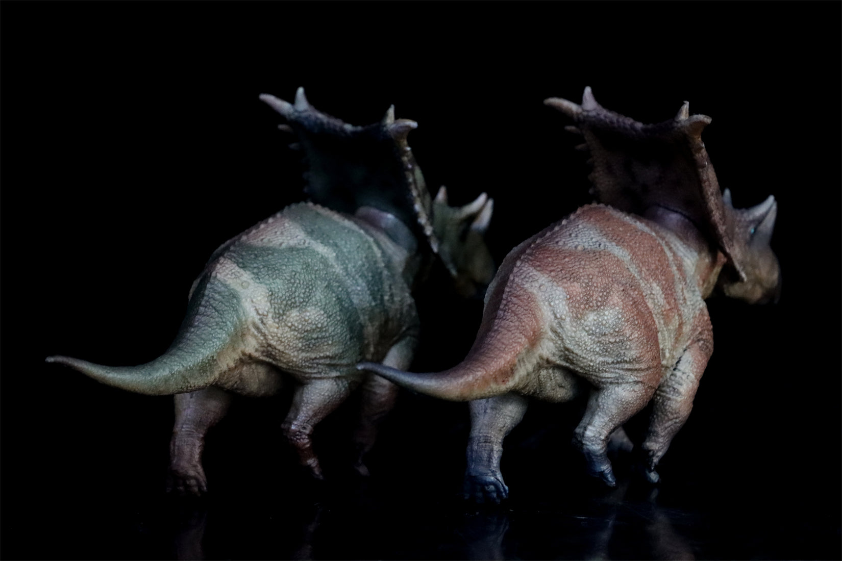 HAOLONGGOOD 1:35 Scale Chasmosaurus Model