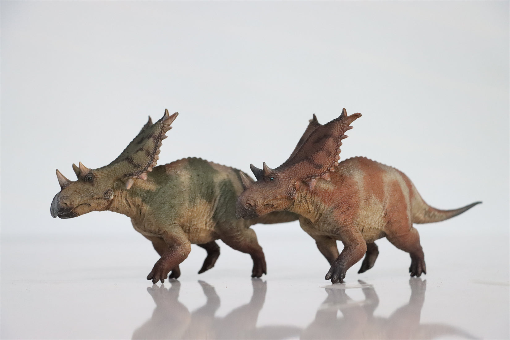 HAOLONGGOOD 1:35 Scale Chasmosaurus Model
