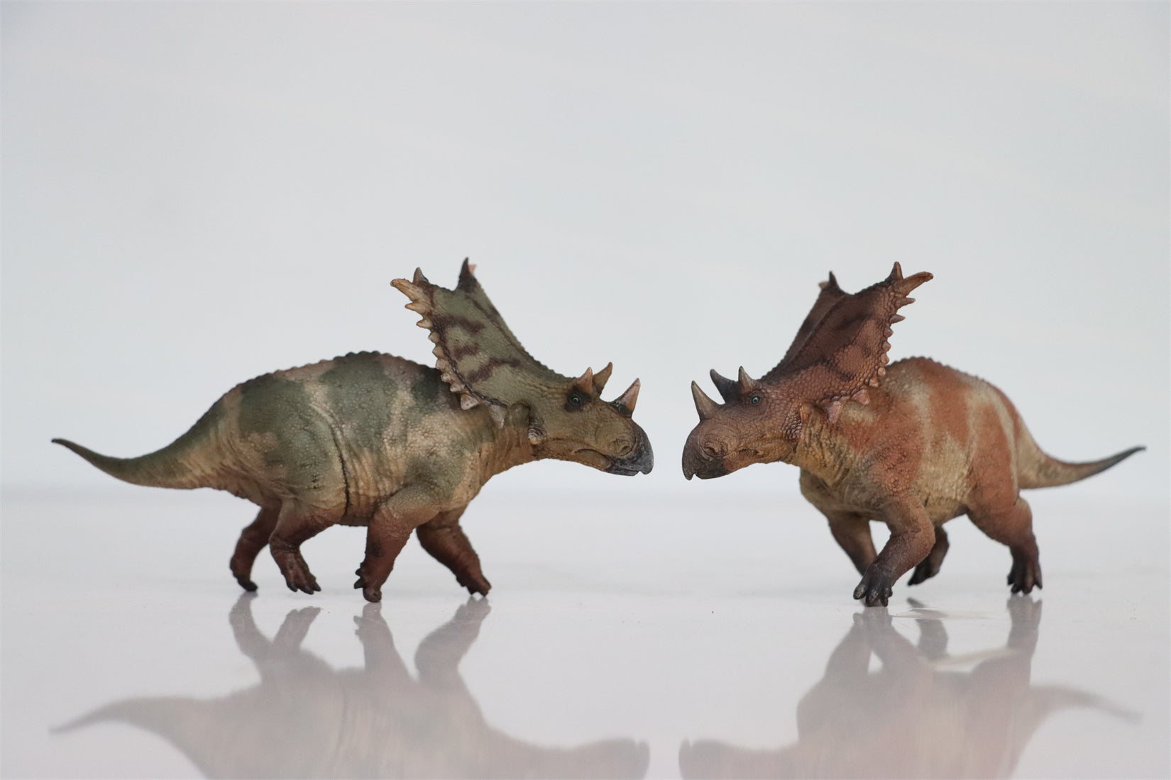 HAOLONGGOOD 1:35 Scale Chasmosaurus Model
