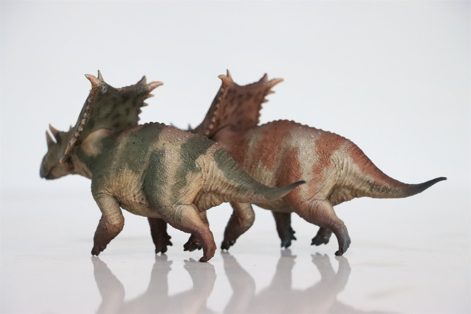 HAOLONGGOOD 1:35 Scale Chasmosaurus Model