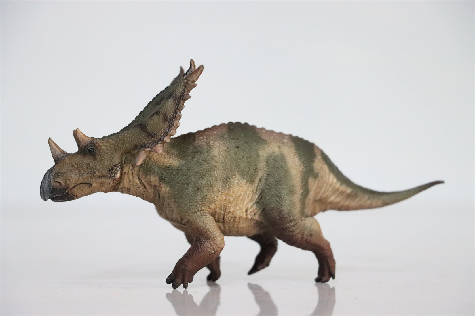 HAOLONGGOOD 1:35 Scale Chasmosaurus Model