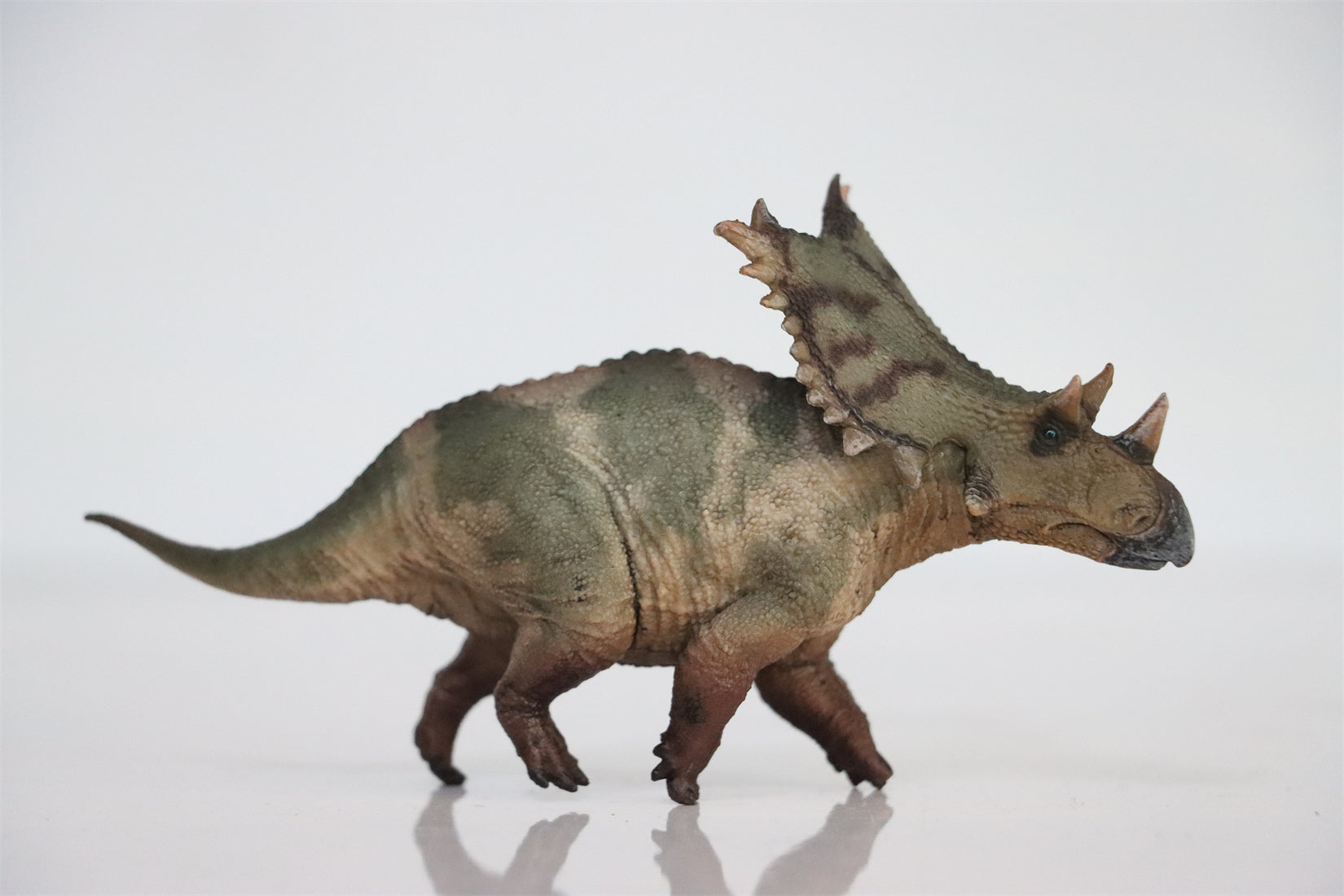 HAOLONGGOOD 1:35 Scale Chasmosaurus Model