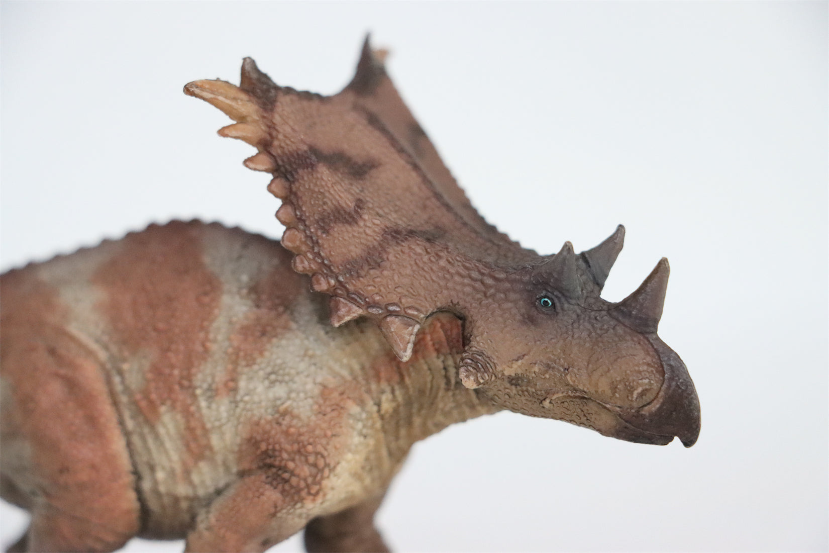 HAOLONGGOOD 1:35 Scale Chasmosaurus Model
