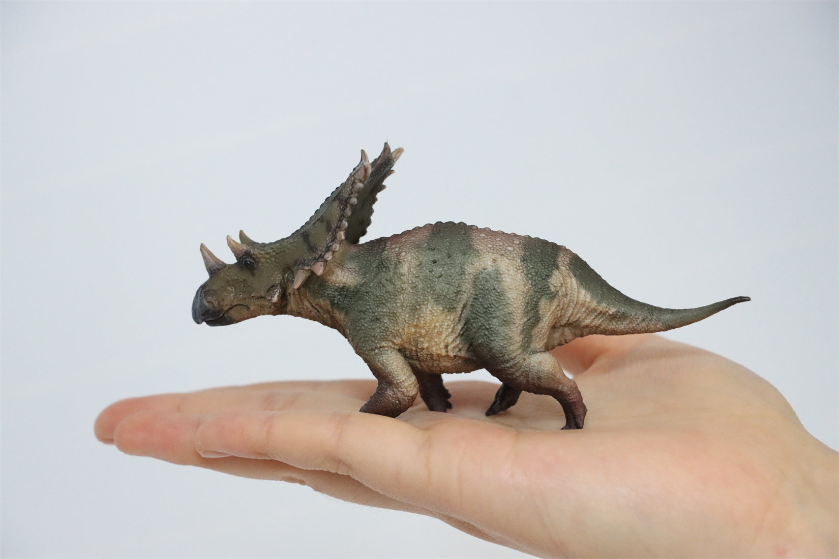 HAOLONGGOOD 1:35 Scale Chasmosaurus Model