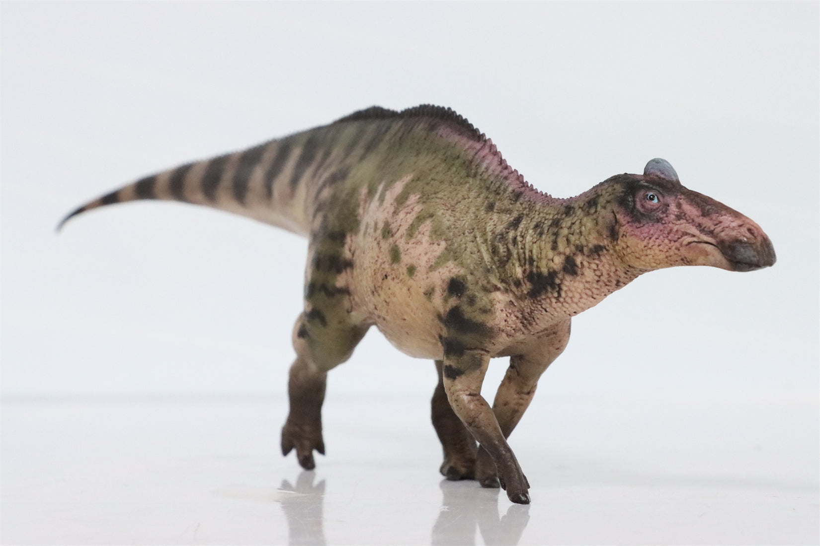 HAOLONGGOOD 1:35 Scale Edmontosaurus Model