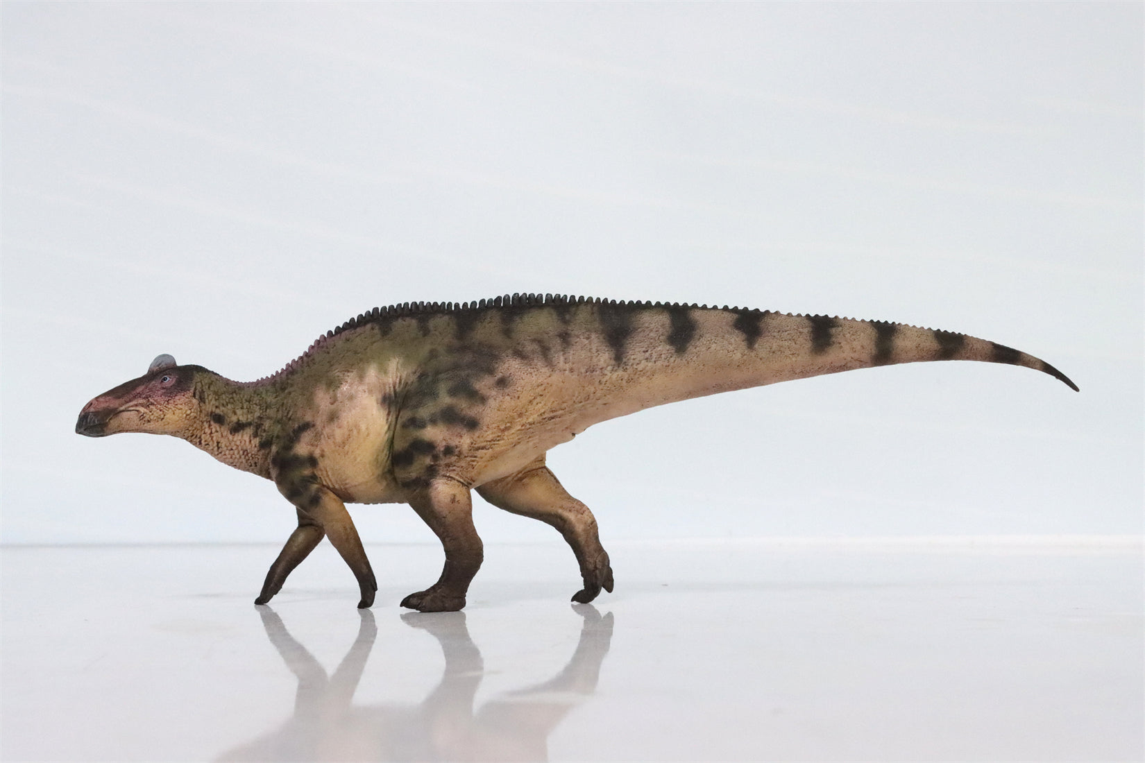 HAOLONGGOOD 1:35 Scale Edmontosaurus Model