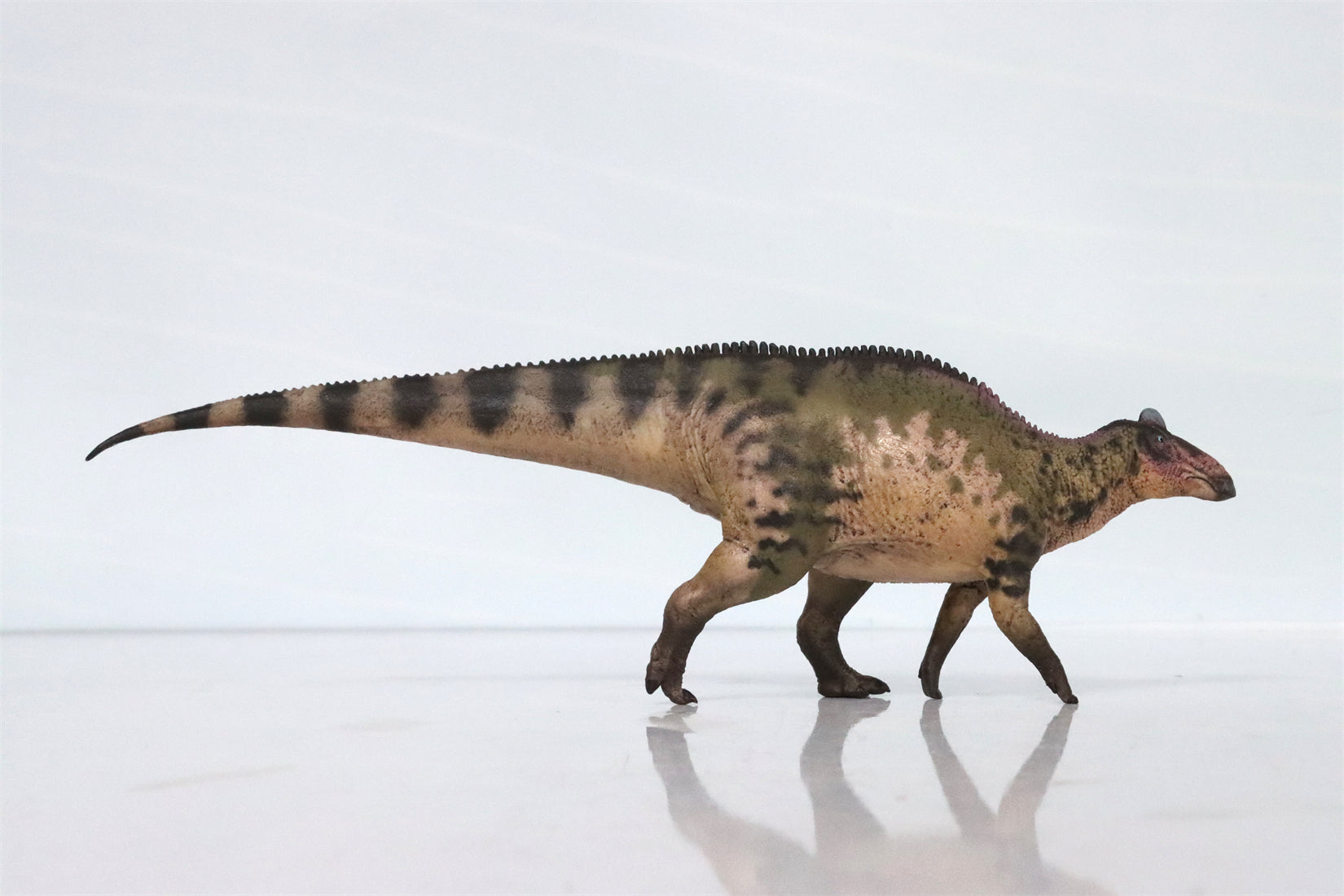 HAOLONGGOOD 1:35 Scale Edmontosaurus Model