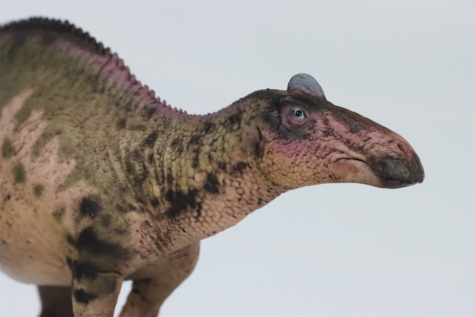 HAOLONGGOOD 1:35 Scale Edmontosaurus Model
