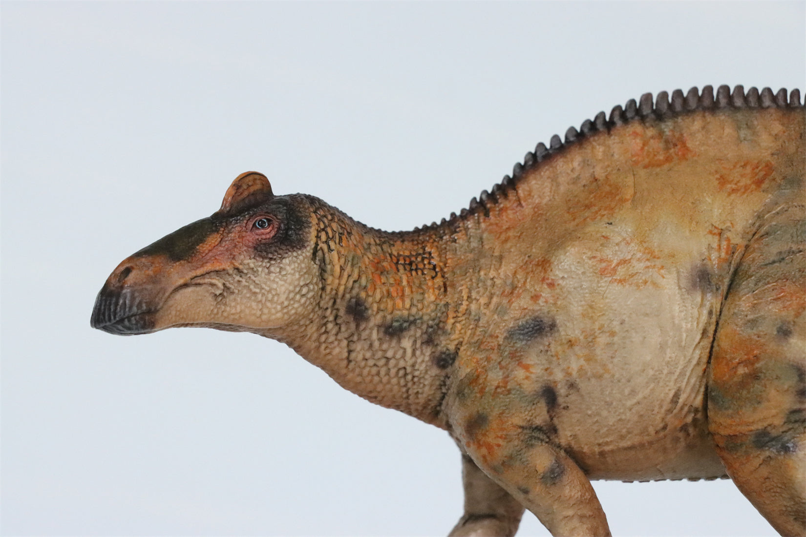 HAOLONGGOOD 1:35 Scale Edmontosaurus Model