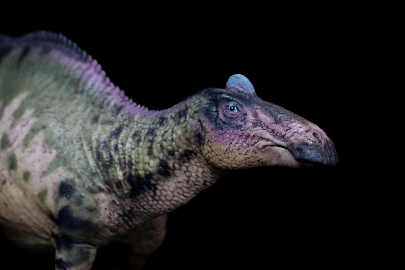 HAOLONGGOOD 1:35 Scale Edmontosaurus Model