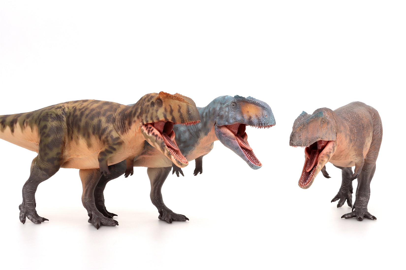 HAOLONGGOOD 1:35 Scale Giganotosaurus Model
